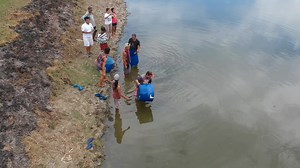 1.1K views · 28 reactions | Mangatarem Online Tindahan | Catfish Farming Philippines Raymeltv | Facebook