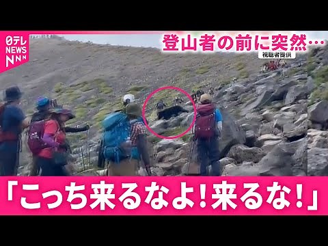 【クマ】登山者らの前に突然… 相次ぐ熊の出没 山でも街でも広がる不安 長野 NNNセレクション