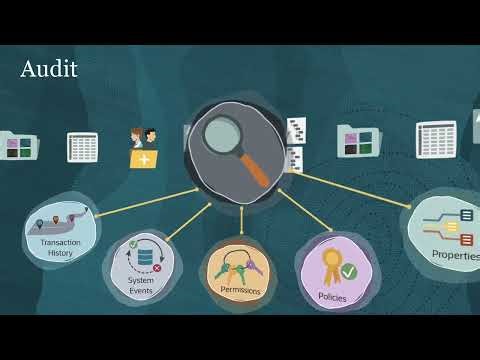 Performing Audits in Enterprise Data Management