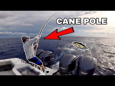 CANE POLE TUNA FISHING! Catch Clean and Cook! Islamorada Style