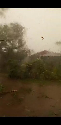 Paron Jodie Ann on Reels