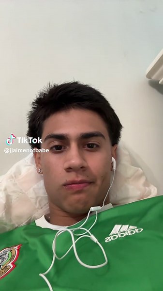 Funny Turtle Moments to Brighten Your Day