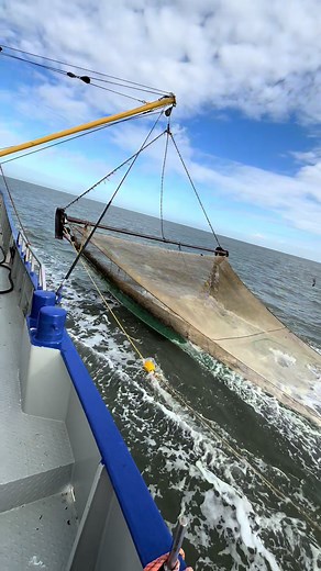 Exploring the World of Beam Trawlers and Shrimp Fishing