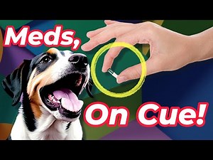 Give Medications On Cue & Stress Free! | Vet Tips