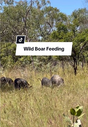 Twin_Elements on TikTok