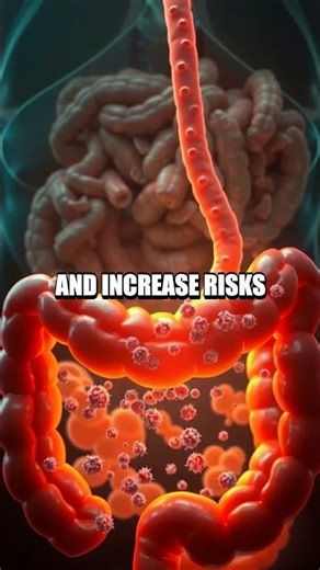 The Hidden World of the Human Appendix