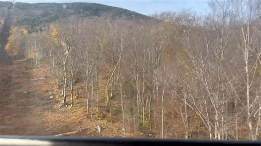 Lydia Morris on Reels | Facebook