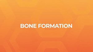 Bone Formation