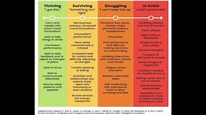 13 reactions | SCI's founder, Quint Studer, has connected, guided, and helped so many people. The message at his impassioned CivicCon presentation on Stress and Trauma is another huge difference maker. Quint shares his own story to help show just how vital mental health is to individuals and organizations. Quint Studer Pensacola Blue Wahoos CivicCon | Studer Community Institute | Facebook