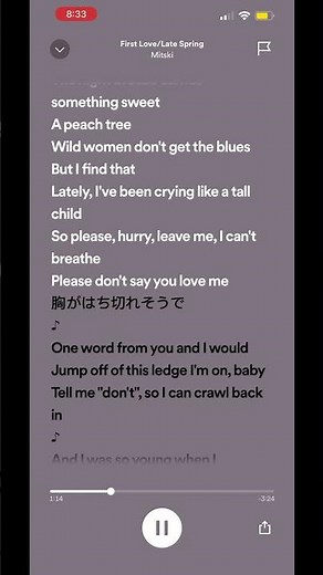 First Love/Late Spring by Mitski