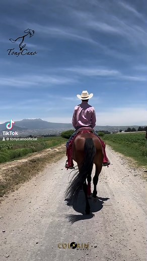 325 reactions · 25 shares | “Prefiero partir a que a mi lado no seas feliz” PARA SACARTE DE MI MENTE.- Tony Cano Puro COLORIN MUSIC!!! Y que bailen los cuacos viejooo !!! #tonycano #colorinmusic #cantante #compositor #cantautor #musico #musica #sencillomusical #desamor #caballos #caballosbailadores #caballosespañoles #CaballosPRE #horselover #horse #fyp #parati #viralreels #reelsvideo #parati #yquebailenloscuacosviejo | Tony Cano | Facebook