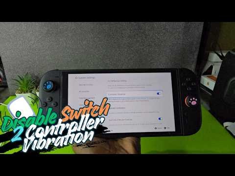 Switch 2 Turn off Controller Vibration