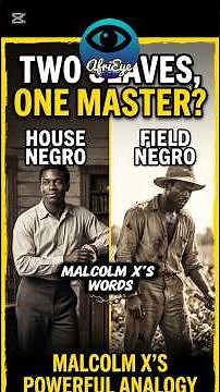 What Did Malcolm X Mean by "The House Negro and the Field Negro"? #shorts #blackhistory #facts