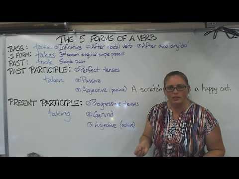 The 5 Forms of a Verb