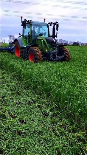 Cover Crop Destruction with a Tractor: How a Rotary Harrow Works