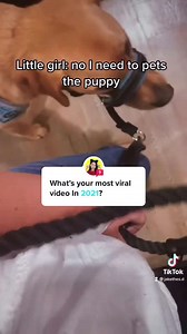 Teaching kids about service dogs in the sweetest way