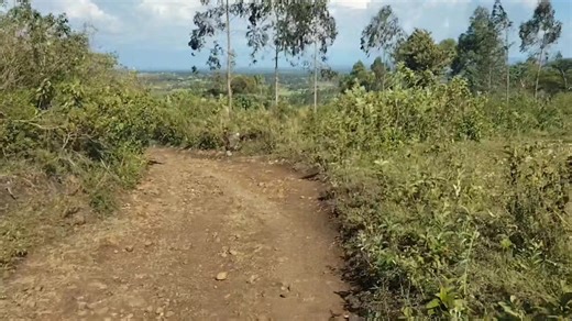 Leadership in Kwabwai Ward: Insights from Ogindo Tipo