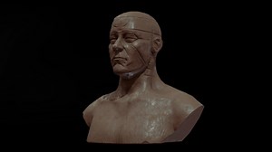 Bust clay - 3D model by senseimitz