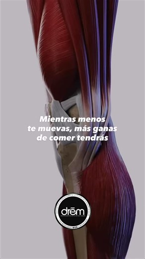 2026 ES TU AÑO PARA MOVERTE MÁS EI sedentarismo es un factor de riesgo independiente, incluso si entrenas. Pasar más de 6-8 horas al día sentado se asocia con un 20-40% mayor riesgo de mortalidad y enfermedades cardiometabólicas, aunque cumplas con el ejercicio semanal. Recomendaciones prácticas: ✔️Camina al menos 7.000 pasos/día (beneficios claros desde esa cifra, con mejoras progresivas hasta ~10.000). ✔️Interrumpe el tiempo sentado cada 30-60 minutos con 2-5 minutos de movimiento. ✔️Prioriza 