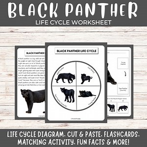 Black Panther life cycle diagram, animal cut paste, matching activity,fun facts!
