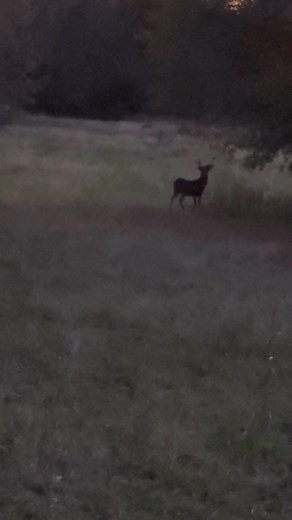 It was a good day deer hunting | Greg Pace