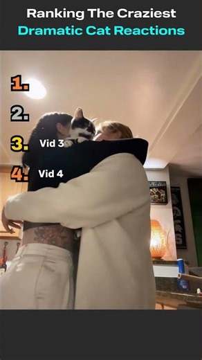 🐱😱 Ranking The Craziest Dramatic Cat Reactions!