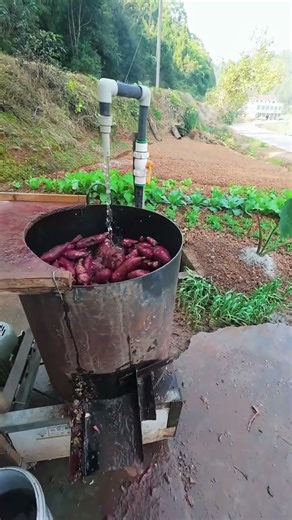 Soil potato washing machine #shorts