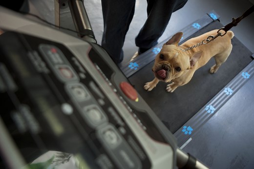 Inclined Treadmill vs. Hill: Which Is Harder to Run?