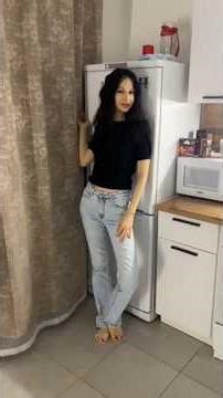 Review of the Gitelman refrigerator