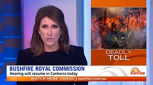 37K views · 145 reactions | More than 400 Australians died as a result of smoke inhalation during the summer bushfires, a medical expert has told the Royal Commission into the crisis. www.7NEWS.com.au #7NEWS | 7NEWS Sydney | Facebook