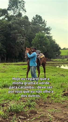 Os vídeos de Bozeman Ranch (@bozemanhorses) com som original - Bozeman Ranch