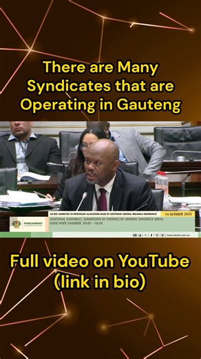 General Sibiya is dishing out the files during his testimony at the Ad Hoc. #reels #explore #viral | Sbu Makh