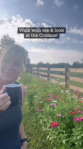 Wall with me through the flower patch and let’s look at some of the Cosmo flowers! | Blooming Joy Flower Company
