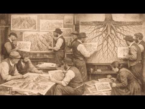 Mountain Ranges Follow the Exact Same Pattern as Root Systems — Because That's What They Are