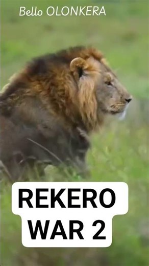 REKERO WAR 2