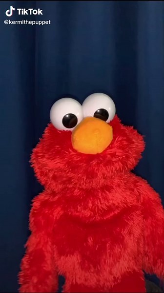 Kermitthepuppet (@kermithepuppet)’s videos with I liKe Ya CuT yA - miau