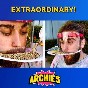 1M views · 22K reactions | Backyard DIY! 朗 Building Your Own Bird Feeder from Scratch! | Archie5 | Facebook