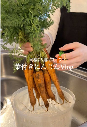 葉付きにんじんチップス & 野菜スティック