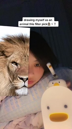 duckschan🦆 (@ducksarelyf)’s videos with