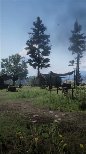 Red Dead 2 Journal Chapter 2 Entry 11