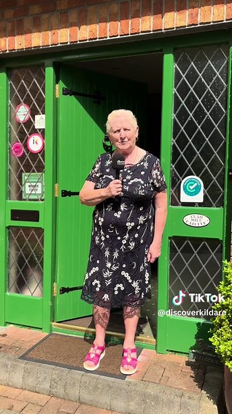 Discover Greese View House: A Hidden Gem in Kildare