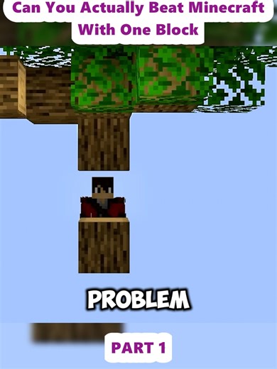 Can You Actually Beat Minecraft With One Block (1) | minecraft