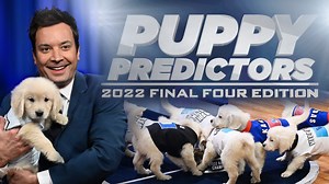 95K views · 1K reactions | It’s Duke vs. UNC vs. KU vs. Villanova in March Madness Puppy Predictors!  | The Tonight Show Starring Jimmy Fallon | Facebook
