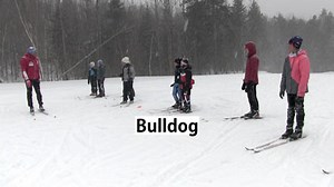 Bulldog - Nordic Ski Lab
