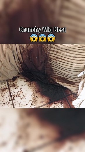 Incredible Crunchy Wig Nest Cleaning Experience