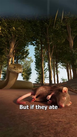 How Tiny Parachutes Dropping Poisoned Mice Saved the Jungle’s Power! 🐭🪂⚡