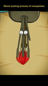 89K views · 405 reactions | #mosquitoes #suck #blood #foryou #fyp #sciencefacts #mathematics#physics#life #subject #science #quantumphysics, #fyp #foryou #tiktok #lnteresting#science#physics | Sience | Facebook