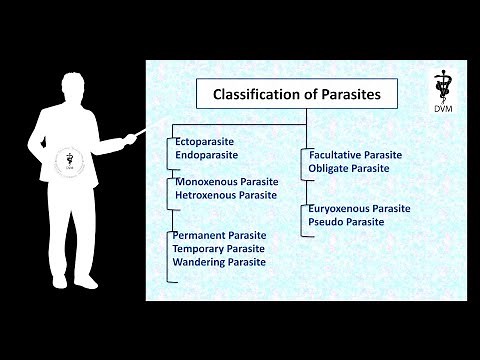 Classification of parasites | Veterinary parasitology | By Doctor of veterinary medicine |