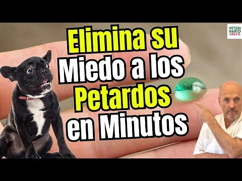 🐶💥 Calming Oral Gel for Dogs Eliminates Fear and Anxiety from Fireworks SILEO🐶💥