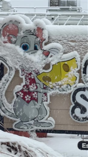 The Cheese Shoppe | HELLO SNOW, WELCOME BACK TO LBI! We opened a bit late, but we’re now open. Fresh baked bread here as well. Thank you mkteatery. Snows are... | Instagram